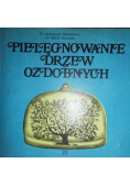 Pielęgnowanie drzew ozdobnych