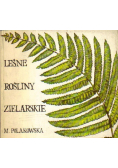 Leśne Rośliny Zielarskie