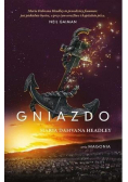 Magonia  Gniazdo