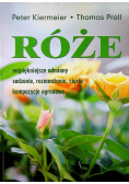 Róże Najpiękniejsze odmiany sadzenie rozmnażanie cięcie kompozycje ogrodowe