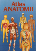 Atlas anatomii