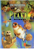 Ptaki Encyklopedia
