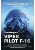 Viper Pilot F16