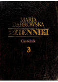 Dąbrowska dzienniki Tom 3
