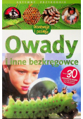 Owady i inne bezkręgowce