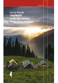 Zagubiony w Dolinie Śmierci