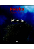 Polska
