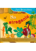 Na straganie