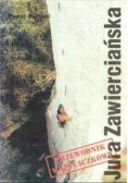 Jura zawierciańska