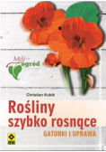 Rośliny szybko rosnące Gatunki i uprawa