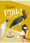 Ptaki naszych lasów. Zeszyt z kalką