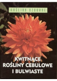 Kwitnące rośliny cebulowe i bulwiaste