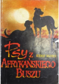 Psy z afrykańskiego buszu