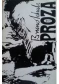 Bruno Schulz Proza