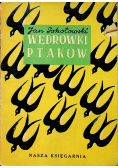 Wędrówki ptaków 1949 r