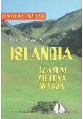 Islandia - czasem zielona wyspa