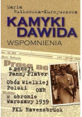 Kamyki Dawida