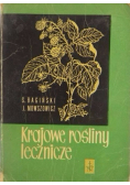 Krajowe rośliny lecznicze