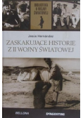 Zaskakujące historie z II wojny światowej