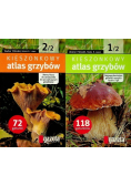 Atlas minerałów i skał