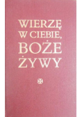 Wierzę w Ciebie Boże Żywy