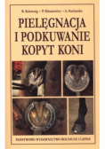 Pielęgnacja i podkuwanie kopyt koni