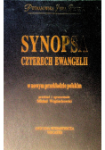 Synopsa czterech Ewangelii w nowym przekładzie polskim