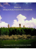 Magia świętokrzyskiego drzewa