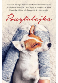 Przytulajka