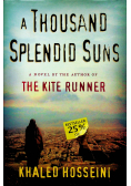 A thousand splendid suns
