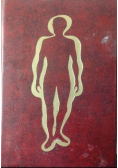 Anatomia człowieka
