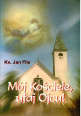Mój Kościele, ufaj Ojcu !