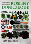 Encyklopedia kieszonkowa Rośliny doniczkowe