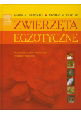 Zwierzęta egzotyczne