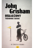 W świetle prawa Tom 27 Oskarżony Theodore Boone