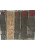 Ilustrowana Encyklopedja Trzaski Everta i Michalskiego Tom I do V,  1927 r.