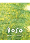 Boso