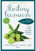 Rośliny lecznicze. Uprawa i zastosowanie