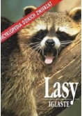 Lasy Iglaste
