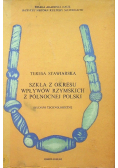 Szkła z okresu wpływów rzymskich z północnej Polski