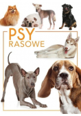 Psy rasowe