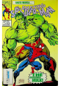 The amazing Spider - Man Nr 6 / 96