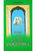 Dom w cieniu skrzydeł