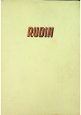 Rudin powieść 1950 r.