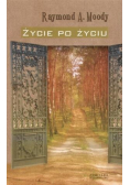 Życie po życiu