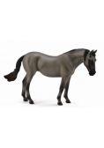 Klacz rasy Lusitano
