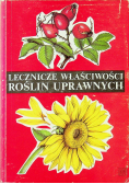 Lecznicze właściwości roślin uprawnych