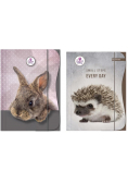 Teczka z gumką A4 The Sweet Pets mix