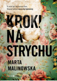 Kroki na strychu