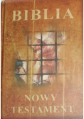 Biblia Nowy Testament